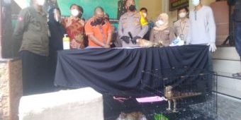 Polres Tanjung Perak Surabaya Gagalkan Penyelundupan 6 Satwa Langka, Seorang Warga Kalsel Diamankan