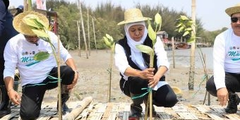 Wujudkan NZE 2060, Gubernur Khofifah Gelar Festival Mangrove ke-V di Romokalisari Adventure Land