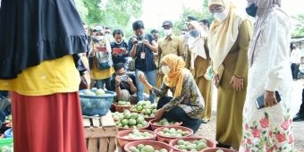 Belanja Srikaya Langsar di Pasar Bluto Sumenep, Khofifah: Bisa Dongkrak Ekonomi Petani