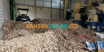 PLTU Tuban Siap Serap Limbah Hasil Pertanian Jagung untuk Bahan Baku Biomassa Co-Firing