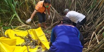 Temuan Kerangka Manusia Gegerkan Warga Jombang