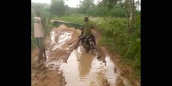 Jalan Kabupaten di Desa Batuporo Timur Ditanami Pohon Pisang