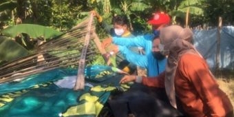 Musim Hujan, Masyarakat Kediri Diminta Waspada Demam Berdarah