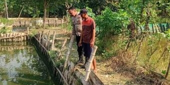 Dukung Program Ketahanan Pangan, Polsek Candi Pantau Budidaya Ikan Lele di Kalipecabean Candi