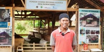 Reforma Agraria Buka Akses Warga Desa Nunuk Baru untuk Jalankan Usaha Ternak Domba