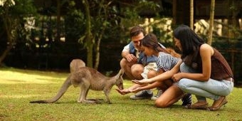 Selama Libur Lebaran, Taman Safari Prigen Suguhkan Spesial Show dan Zona Baru