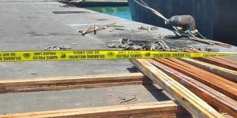 Nahas! Sopir Truk Trailer di Pelabuhan Probolinggo Tertimpa Muatan Potongan Kayu saat Bongkar Muat