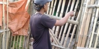 Malam Takbiran Idul Adha, 3 Ekor Kambing di Kota Batu Raib Digondol Maling, Beli Pakai Uang Koperasi