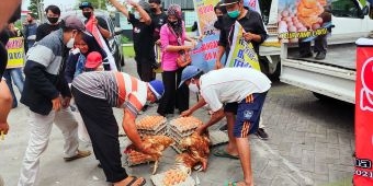 Gagal Bagikan Telur Gratis, ini yang Dilakukan Peternak Ayam di Blitar