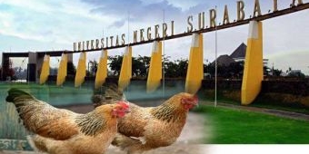 Stttt.... Ada Ayam Kampus Dijual Terang-terangan di Dekat Unesa