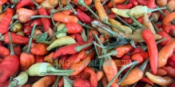 Update Daftar Harga Sembako Kota Batu Awal April 2026: Cabai Besar, Rawit, dan Keriting Naik Lagi