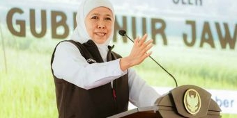 Tanam Padi Inpari 32 di Tuban, Gubernur Khofifah Apresiasi Komitmen Petani Gunakan Pupuk Organik