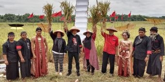 Yakin Ponorogo Swasembada Pangan, Sugiri-Lisdyarita Panen Raya di Desa Kadung Banteng
