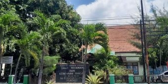 Pemkab Situbondo Genjot Kualitas Tembakau Lewat Pelatihan Pasca-Panen