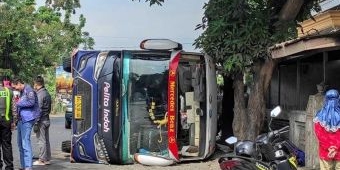 Oleng Hindari Truk Gandeng, Bus Pelita Indah Jurusan Trenggalek-Surabaya Terbalik di Kediri