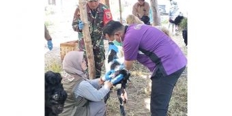 Sidak, Disnak Pasuruan tak Temukan Hewan Kurban Terjangkit Penyakit Berbahaya