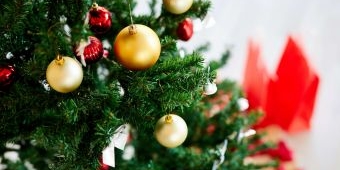 Warna Hijau Pada Perayaan Natal, Ternyata ini Maknanya