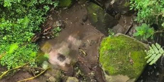  Lagi! Mayat Pria Tanpa Identitas Ditemukan di Bawah Jembatan Kembar Cangar