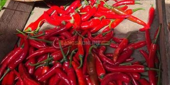 Beberapa Komoditas Pangan di Kota Kediri Hari Ini Alami Penurunan, Simak Daftarnya Berikut Ini