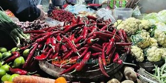 Update Harga Sembako Jatim Awal April 2026: Cabai Besar, Keriting, dan Daging Ayam Turun