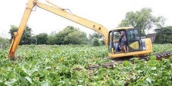 Antisipasi Banjir, Pemkab Lamongan Kerahkan Backhoe Amphibi Bersihkan Eceng Gondok