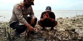 Asap dan Api Ditemukan di Celah Batu Bibir Pantai Bangkalan