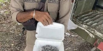 Ranjau Paku di Lingkar Timur Viral di Medsos, Satpol PP Sidoarjo Lakukan Penyisiran