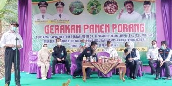 Varietas Paling Unggul di Indonesia, Porang Madiun Diapresiasi Mentan Syahrul Yasin Limpo