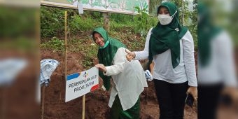 Minimalisir Banjir, Pertani HKTI Jatim Bersama PT. CJI Tanam 15.514 Bibit Pohon