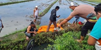 Dua Mayat di Irigasi Sawah Gegerkan Warga Dusun Tempel Sidoarjo
