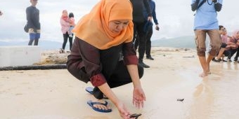 Khofifah Lepas Puluhan Anak Penyu di Pulau Tabuhan Banyuwangi