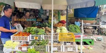 Fluktuasi Harga Sembako Jatim 17 Ramadan: Teri Turun Rp1 Ribu, Cabai Keriting Naik Tipis