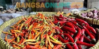 Harga Cabai Merah Keriting di Kota Batu Hari Ini Turun Rp4.500