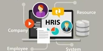 Perbandingan Mekari Talenta vs Workday, Aplikasi HRIS Mana yang Paling Cocok Untuk Perusahaan Anda?