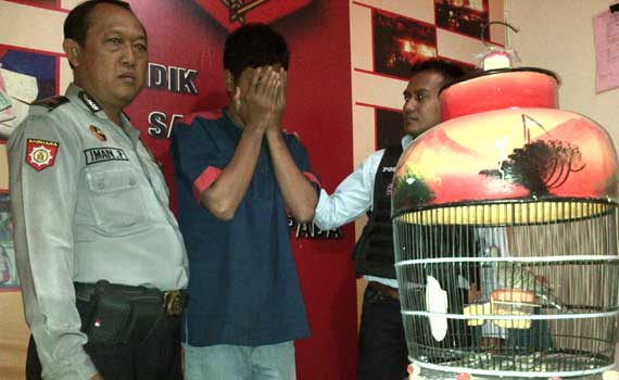 Anggota mendampinggi tersangka dan burung barang bukti. foto: rusmiyanto/BANGSAONLINE
