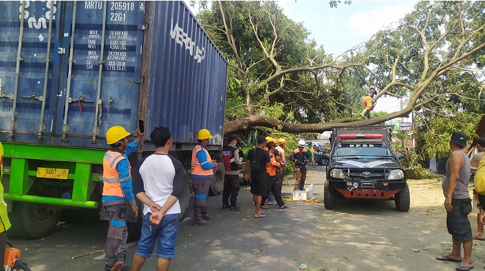 Kondisi truk ringsek usai tabrak pohon.
