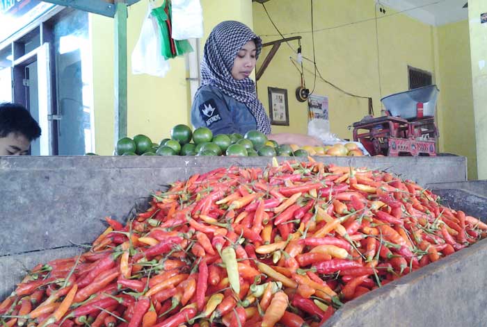 Salah satu pedagang cabai di Pacitan.