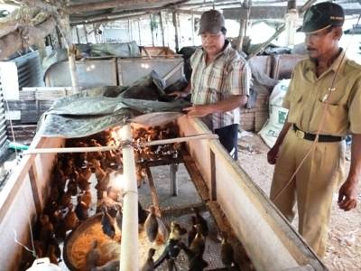 Muslimin, Ketua kelompok peternak bebek, bersama aparatur Desa Wonoayu Sidoarjo. (foto:agus hp/BANGSAONLINE)

?