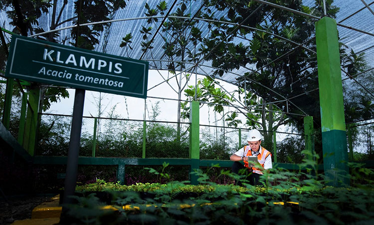 Area pembibitan tanaman untuk reklamasi lahan pascatambang Pabrik Tuban. (foto: ist)