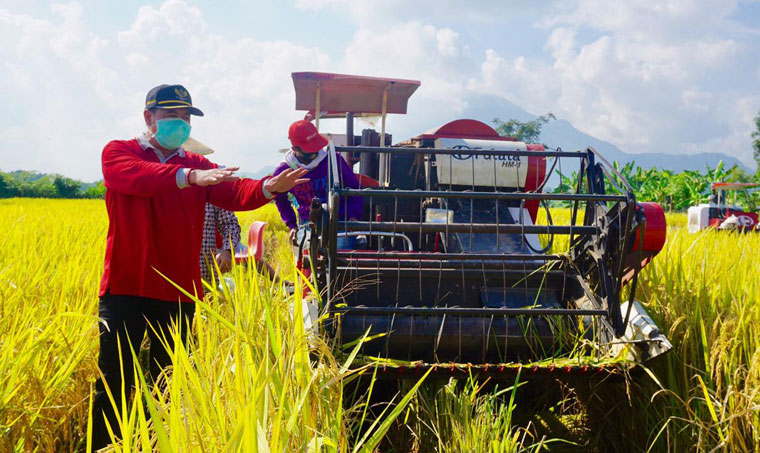 Bupati Pungkasiadi ketika menghadiri panen raya di Kutorejo. Bupati memperhatikan penggunaan mesin modern dalam panen ini. 