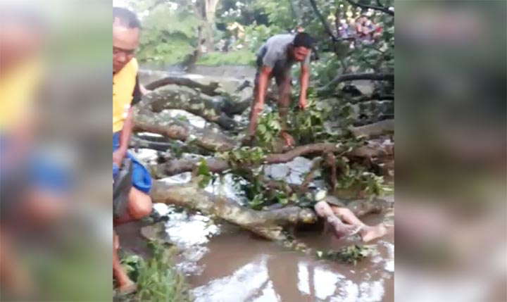 Kondisi korban saat ditemukan nyangkut di pepohonan.