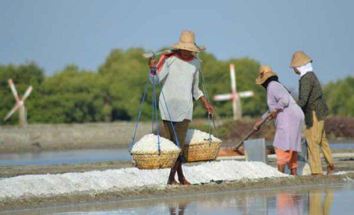 Petani garam Madura. Foto: dok