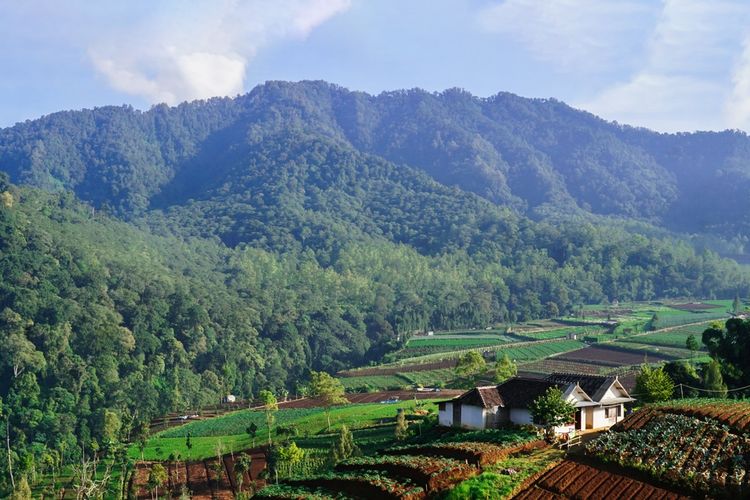 Wisata Alam, Budaya, dan Edukasi di Desa Ketapanrame Mojokerto, Cocok Jadi Tempat Berlibur. Foto: Ist