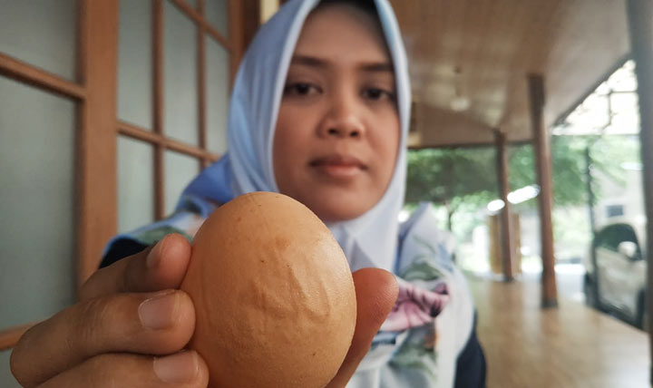 Risa Damayanti menunjukkan telur ayam berlafadz Allah yang ditemukannya.