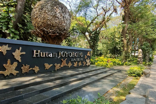 Hutan Joyoboyo dan suasana di dalamnya.