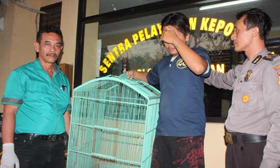 Tersangka membawa sangkar dan burung hasil curian. foto: rusmiyanto/BANGSAONLINE