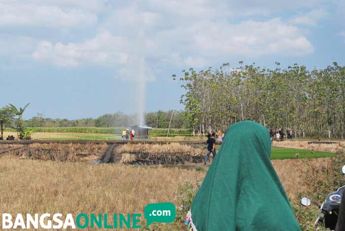 Semburan air di Desa Sidolaju, Kecamatan Widodaren, Ngawi membuat warga penasaran.