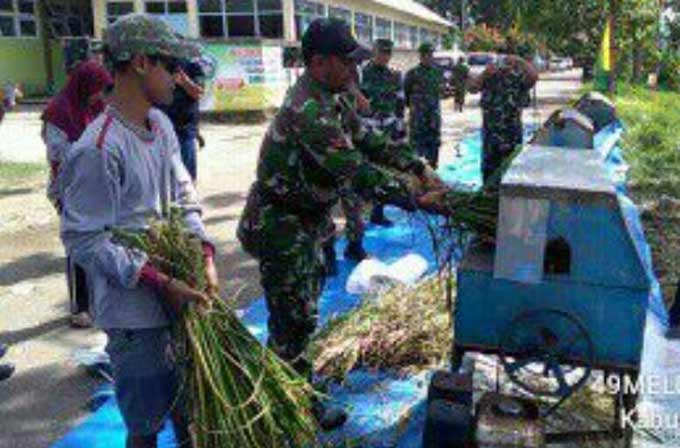 Suasana kegiatan panen raya di Makodim Pacitan.