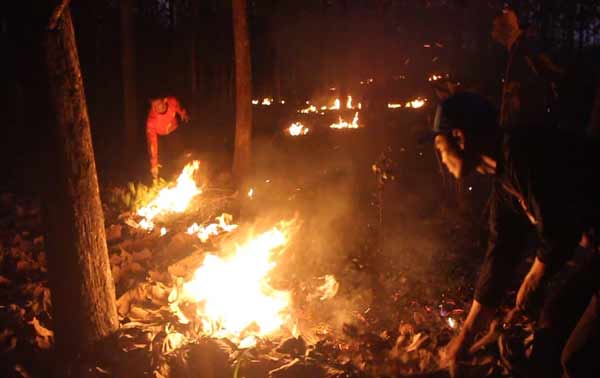 Kebakaran hutan di RPH Senggowar. Tampak Tagana berusaha memadamkan api yang semakin meluas. (bambang dj/BANGSAONLINE)