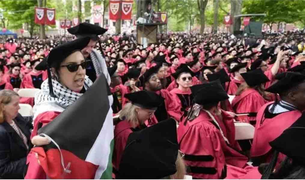 Ratusan wisudawan walk out sebagai ekspresi protes terhadap Universitas Harvard yang tidak meluluskan 13 mahasiswanya karena membela Palestina. Foto: AP Photo/detik.com